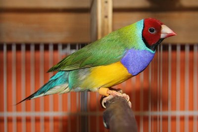 IMG_9742.JPG