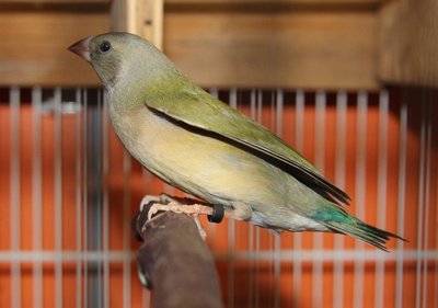IMG_9746.JPG