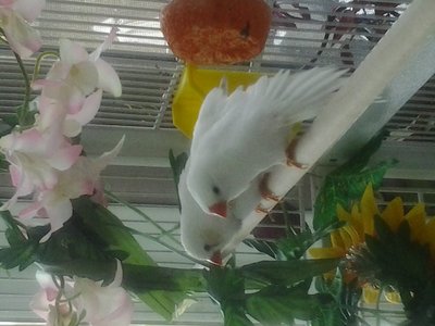 2014-02-23 14.01.07.jpg