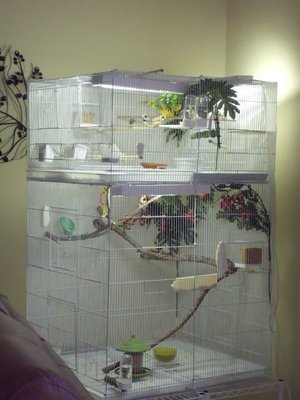 6-24 BC CCFW shaftail cages side view.jpg