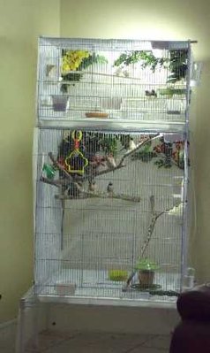 6-24 BC CCFW shaftail cages front 2.jpg