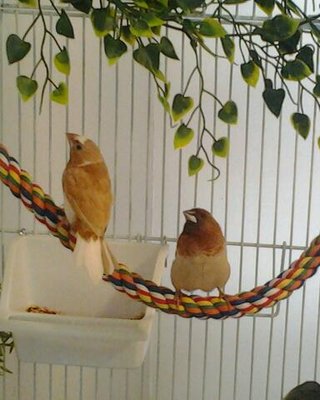 Sharra is the one on the left.