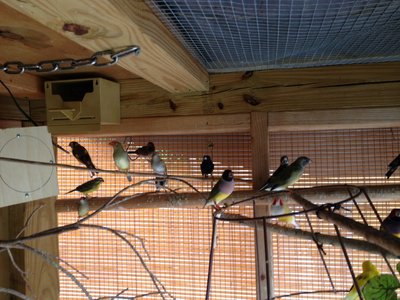IMG_4080.JPG