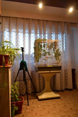 DSC_0055_512x768.JPG