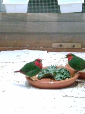 CAM00290.jpg