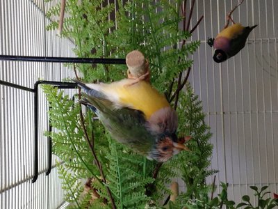 image.jpg