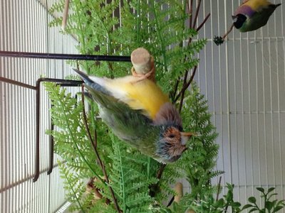 image.jpg