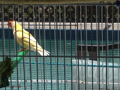 IMG_4275.JPG