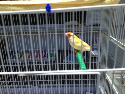 IMG_4279.JPG