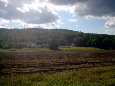 thehomestead.jpg