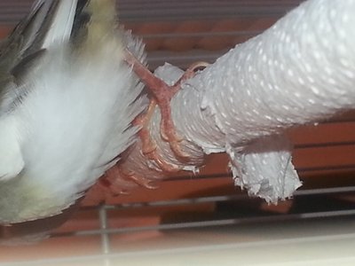 20140528_194121.jpg