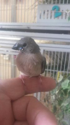 Perching now.