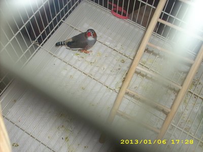 005.JPG