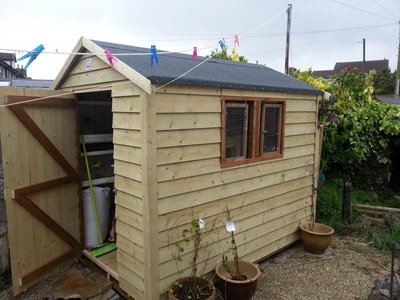 8x6 Shed
