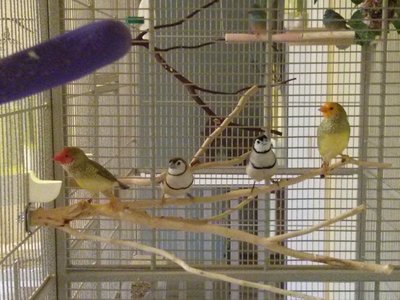 Twinkle, Gerri, Tom &amp; Pumpkin