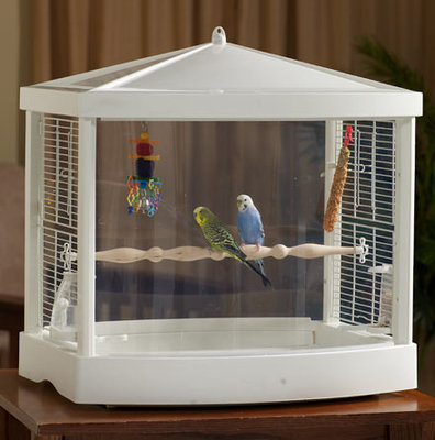 tree top bird cage.jpg