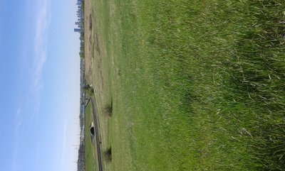 20140531_094621.jpg