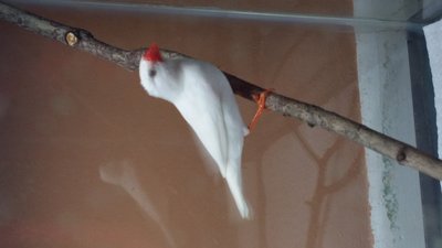 20140616_120945.jpg