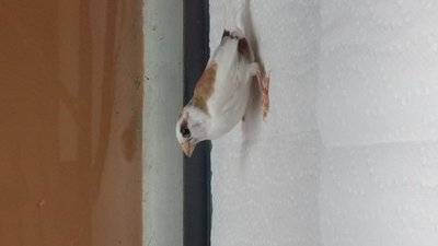 20140616_121121.jpg