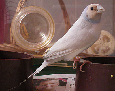 Casper110407d.jpg