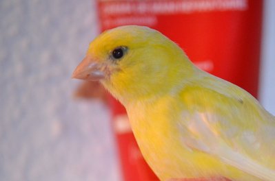 DSC_0045.JPG
