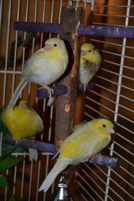 DSC_0008.JPG
