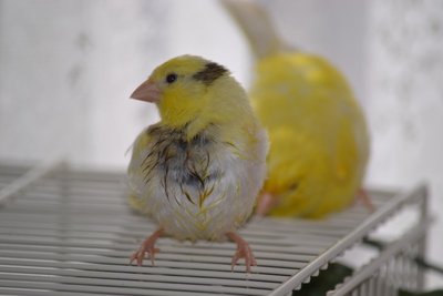 DSC_0026.JPG