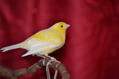 DSC_0035.JPG