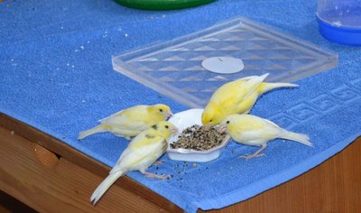 DSC_0003.JPG