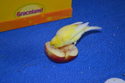 DSC_0016.JPG