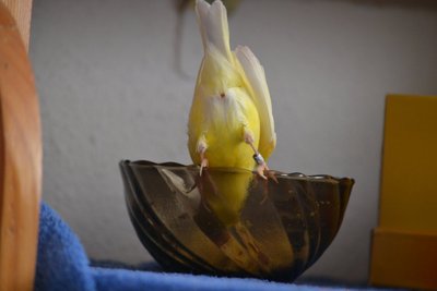 DSC_0094.JPG