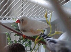 20140625_180620-1.jpg