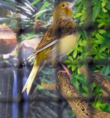 DSCF5467.jpg