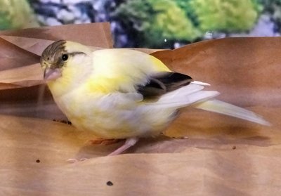 DSCF5488.jpg
