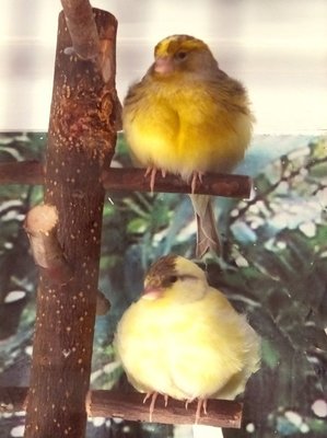 DSCF5566.jpg