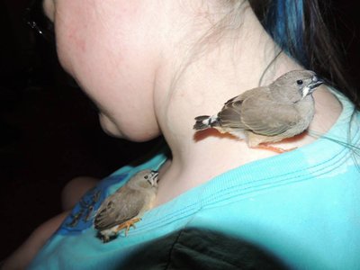 Lily and Maev, 16 &amp; 17 days old