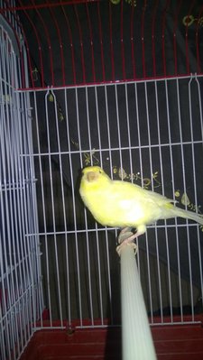 WP_20140707_005.jpg