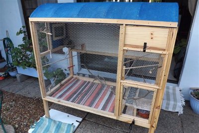 DSCF8749 (Small).JPG