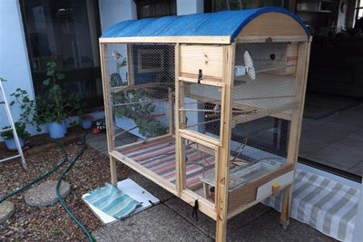 DSCF8729 (Small).JPG