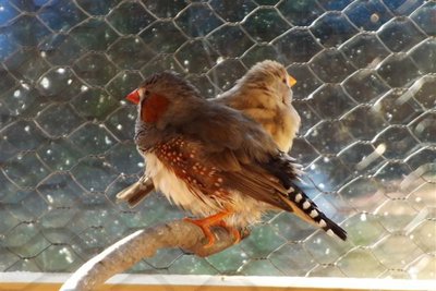 DSCF8909 (Small).JPG