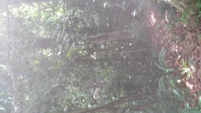 20140804_152133.jpg