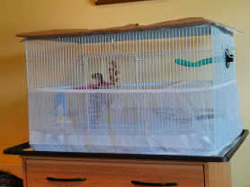 I put the dog cage tray under the flight cage.  The bookcase I have the flight cage on is exactly 30&quot; wide so the dog cage tray adds some overlap also.