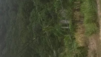 20140808_121222.jpg