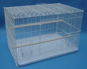 cage.jpg