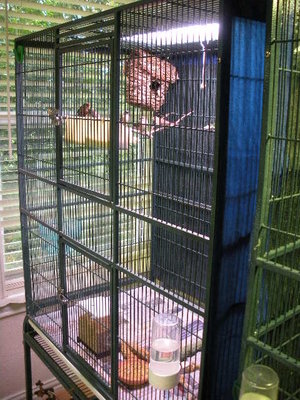 Left side of the cage.