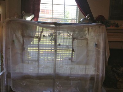 Flight with Sheer for Privacy.jpg