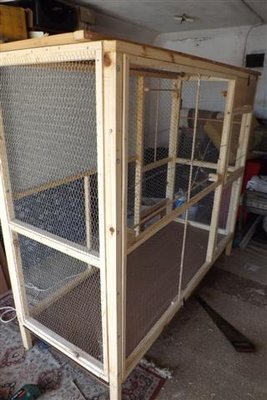 DSCF9595 (Small).JPG