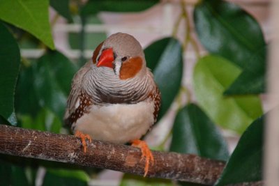 DSC_0024.JPG