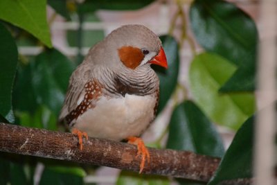 DSC_0023.JPG