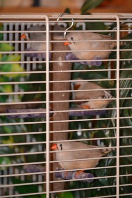 DSC_0004.JPG